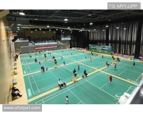 上海羽毛球队逆袭之旅揭秘从低谷到巅峰的奋斗历程与荣耀时刻