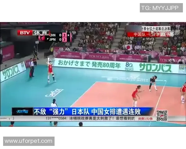 广州排球队的精神探索与排球文化的深度解读