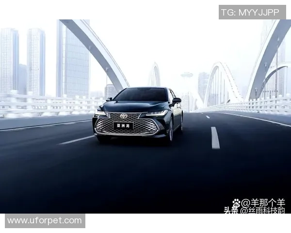 杭州排球队在洲际杯积分榜上以87分稳居第一名展现强劲实力