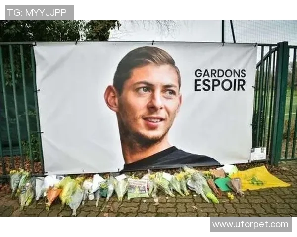 足球明星因坠机事故不幸去世引发全球哀悼与关注